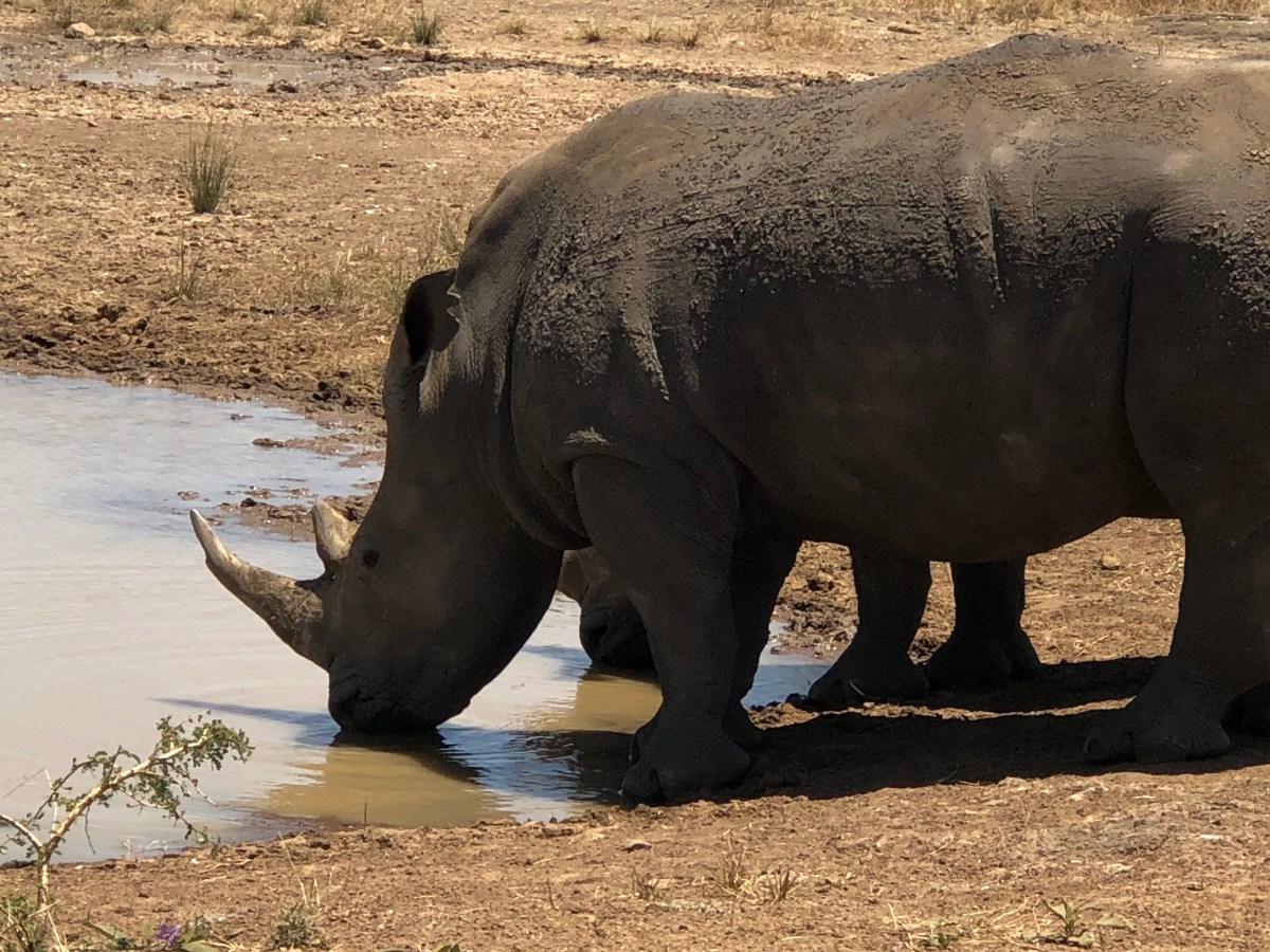 Searching for Treasures